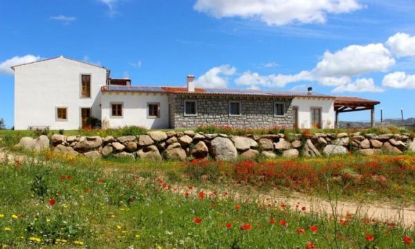 Tenute Testoni Agriturismo E B&B Bassacutena Εξωτερικό φωτογραφία